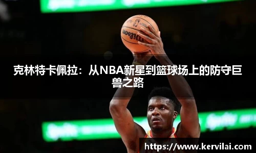 必一·运动(B-Sports)官方网站